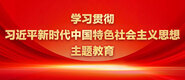 操逼嫩逼逼学习贯彻习近平新时代中国特色社会主义思想主题教育_fororder_ad-371X160(2)